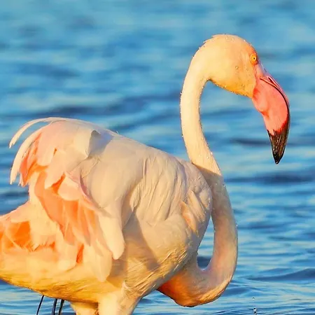 Ichnos Experience Δωμάτια σε οικογενειακή κατοικία