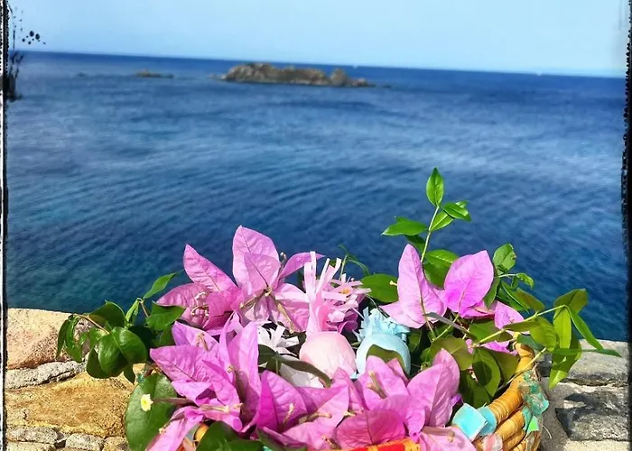 Ichnos Experience * 维拉西米乌斯