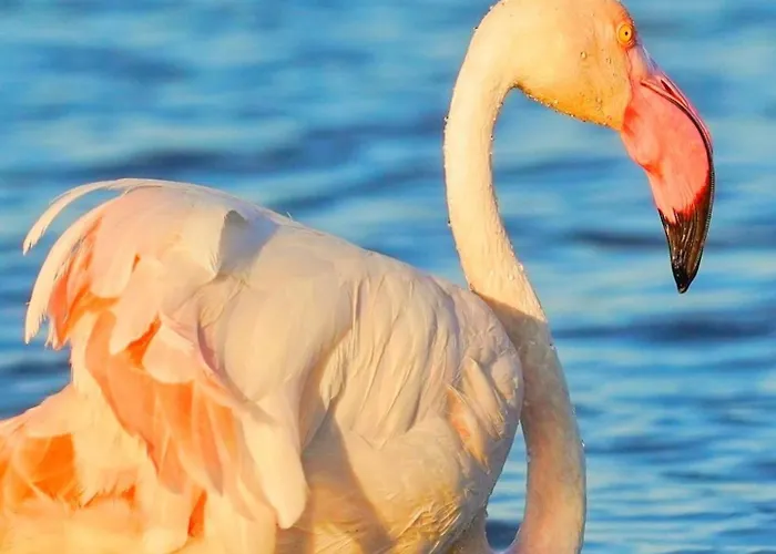 Ichnos Experience 民宿