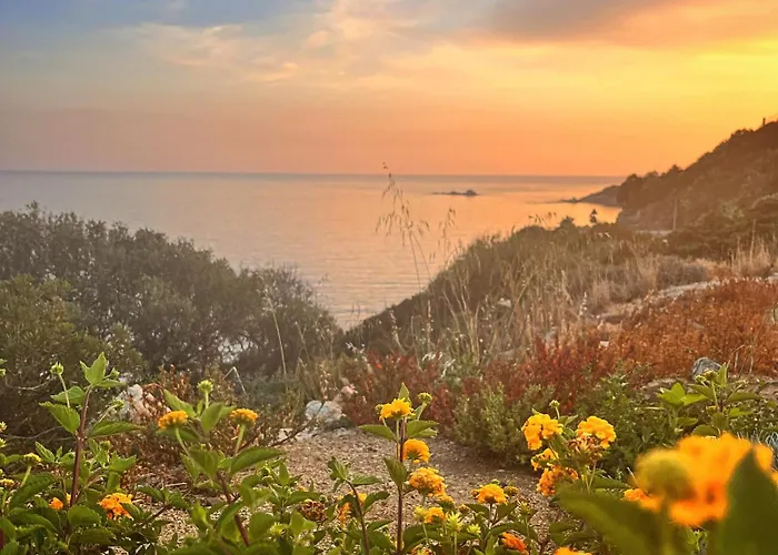 Ichnos Experience 维拉西米乌斯