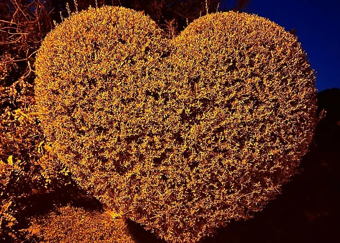 Ichnos Experience 维拉西米乌斯