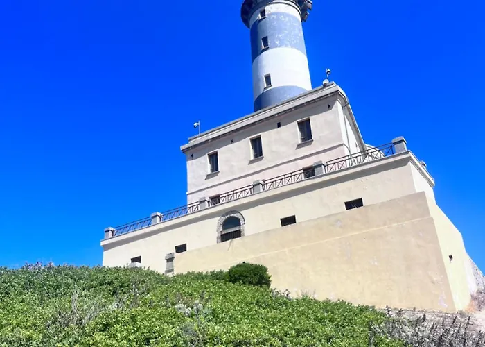 Ichnos Experience * 维拉西米乌斯